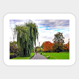 Autumn Trees Regent's Park London England Sticker